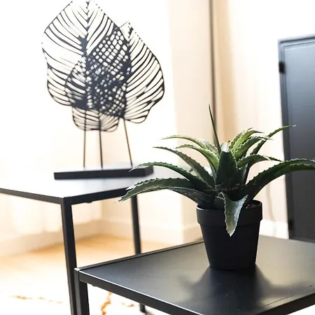 Le Moderne - Beau T2 - Belle Vue Sur Les Quais - Centre - Tram *